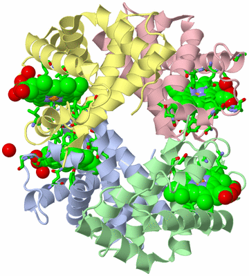 Image Asym./Biol. Unit - sites