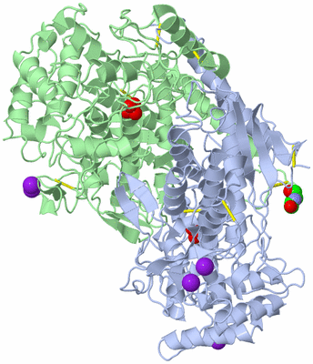 Image Asym./Biol. Unit