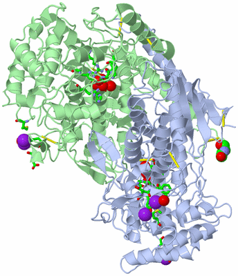 Image Asym./Biol. Unit - sites