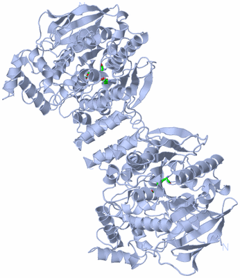 Image Biol. Unit 1 - sites