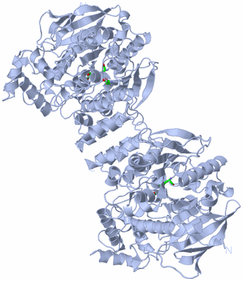 Image Biol. Unit 1 - sites