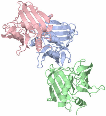Image Asymmetric Unit