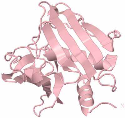 Image Biological Unit 3