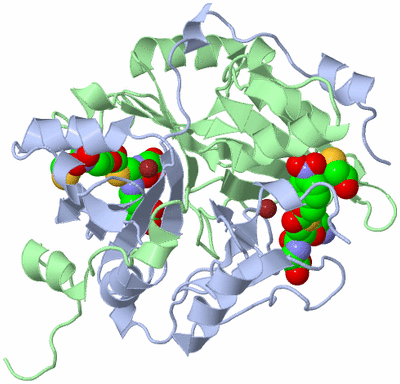 Image Biological Unit 1