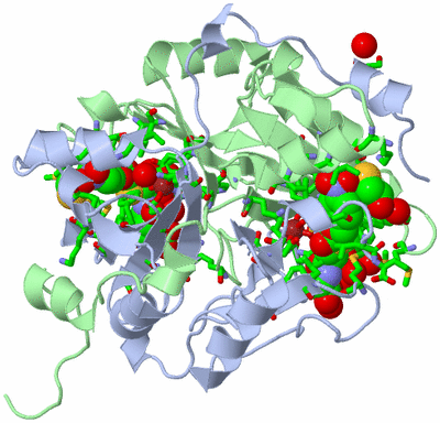 Image Biol. Unit 1 - sites