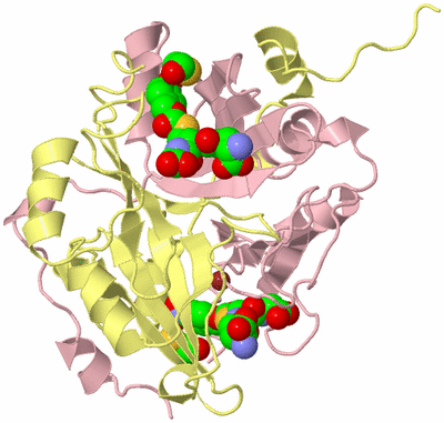 Image Biological Unit 2