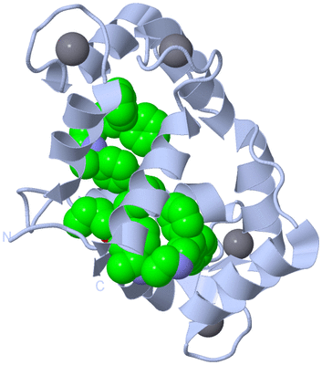 Image Biological Unit 1