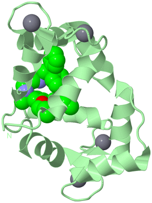 Image Biological Unit 2