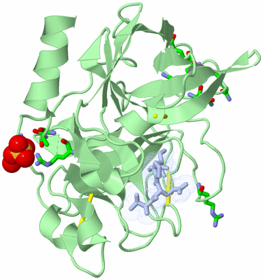 Image Asym./Biol. Unit - sites