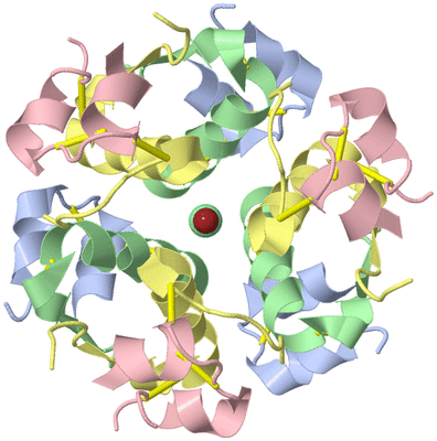 Image Biological Unit 1