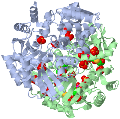 Image Biological Unit 1