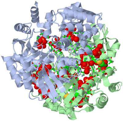 Image Biol. Unit 1 - sites