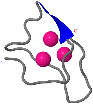 Image NMR Structure - model 1