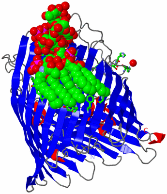 Image Asym./Biol. Unit - sites