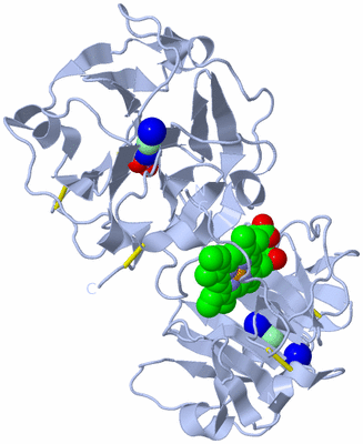 Image Biological Unit 1