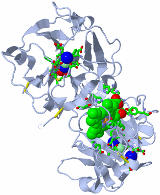 Image Biol. Unit 1 - sites