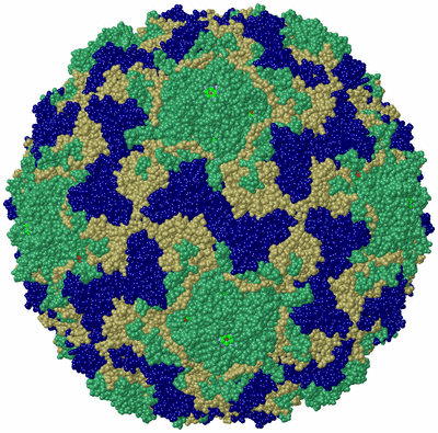 Image Biol. Unit 1 - sites