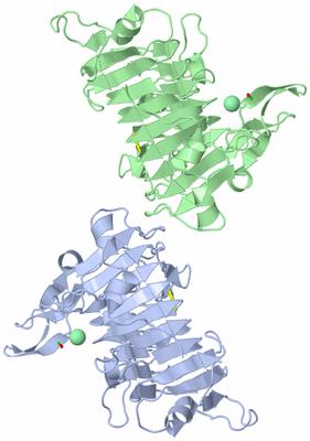 Image Asym. Unit - sites