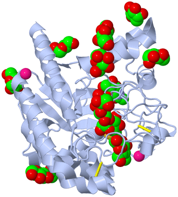 Image Biological Unit 1