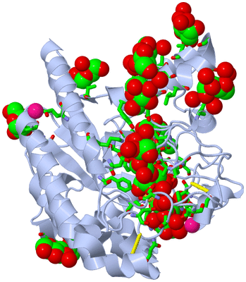 Image Biol. Unit 1 - sites