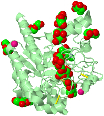 Image Biological Unit 2