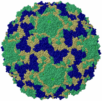 Image Biol. Unit 1 - sites