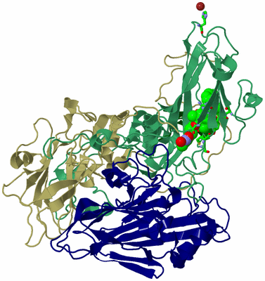 Image Asym. Unit - sites