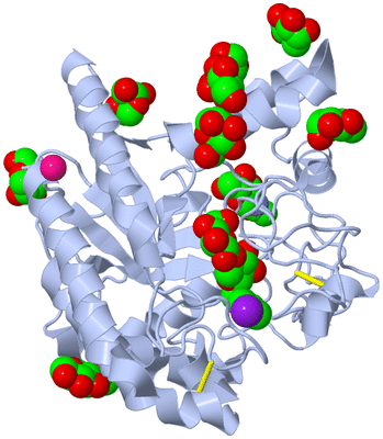 Image Biological Unit 1