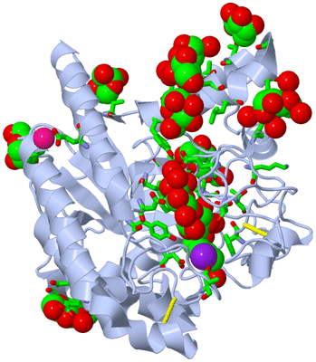 Image Biol. Unit 1 - sites