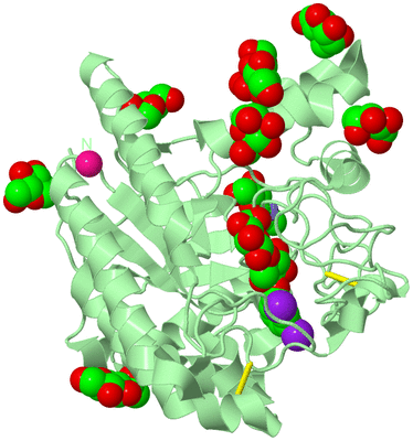 Image Biological Unit 2