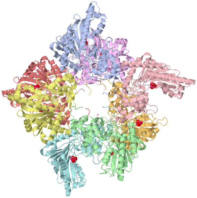 Image Asym./Biol. Unit