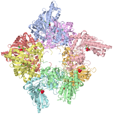 Image Asym./Biol. Unit - sites