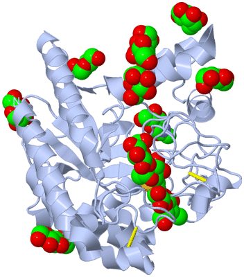 Image Biological Unit 1