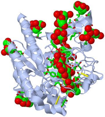 Image Biol. Unit 1 - sites