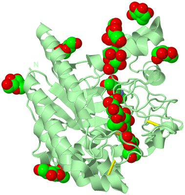 Image Biological Unit 2