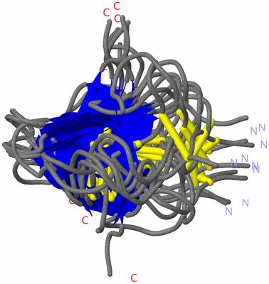 Image NMR Structure - all models