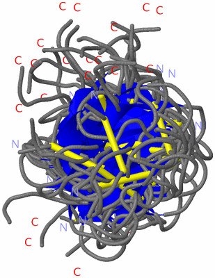 Image NMR Structure - all models