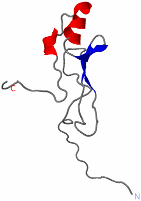 Image NMR Structure - model 1