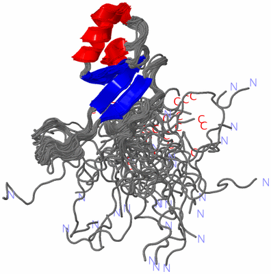 Image NMR Structure - all models