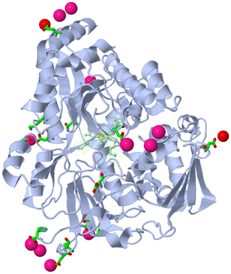 Image Asym./Biol. Unit - sites