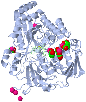 Image Asym./Biol. Unit