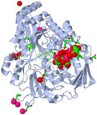 Image Asym./Biol. Unit - sites