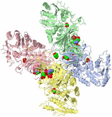 Image Biological Unit 1