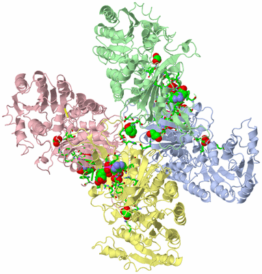 Image Biol. Unit 1 - sites