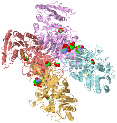 Image Biological Unit 2