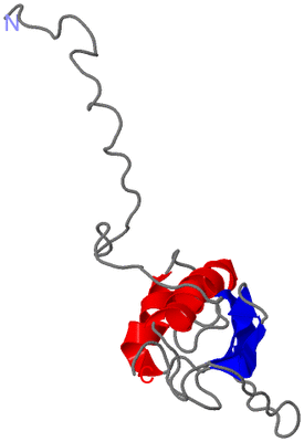 Image NMR Structure - model 1