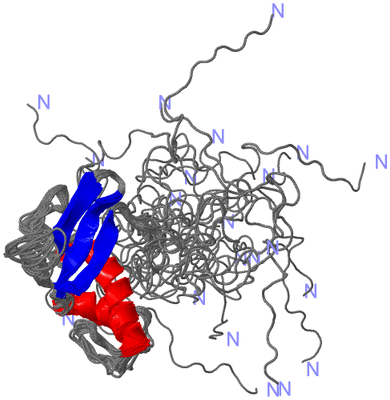 Image NMR Structure - all models