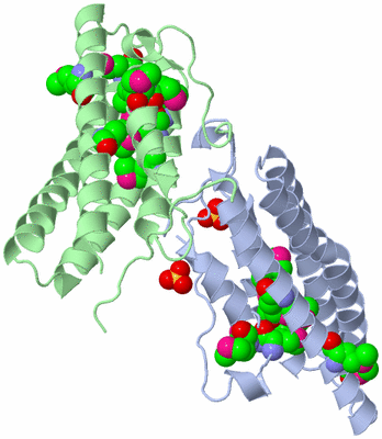 Image Asymmetric Unit