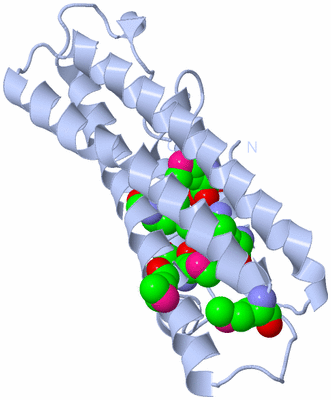 Image Biological Unit 1