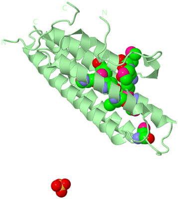Image Biological Unit 2